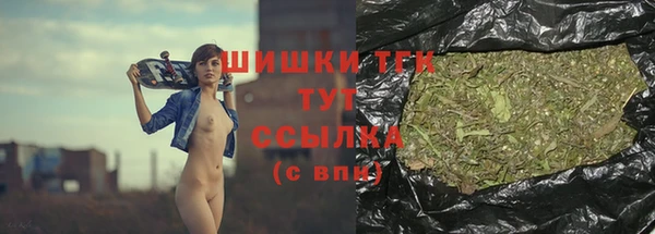apvp Вуктыл